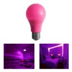 WhatsApp Image 2022-10-24 at 8.13.59 PM