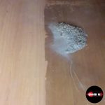 WhatsApp Image 2023-01-05 at 12.12.50 PM